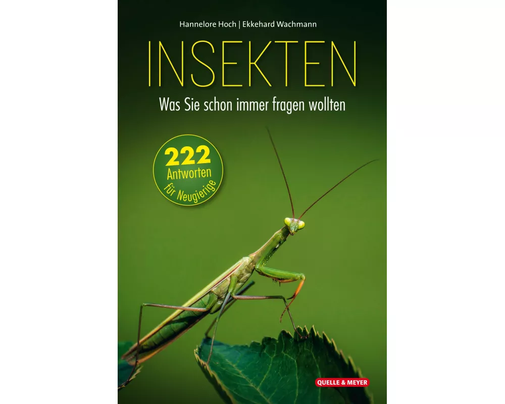 Insekten – Was Sie schon immer fragen wollten