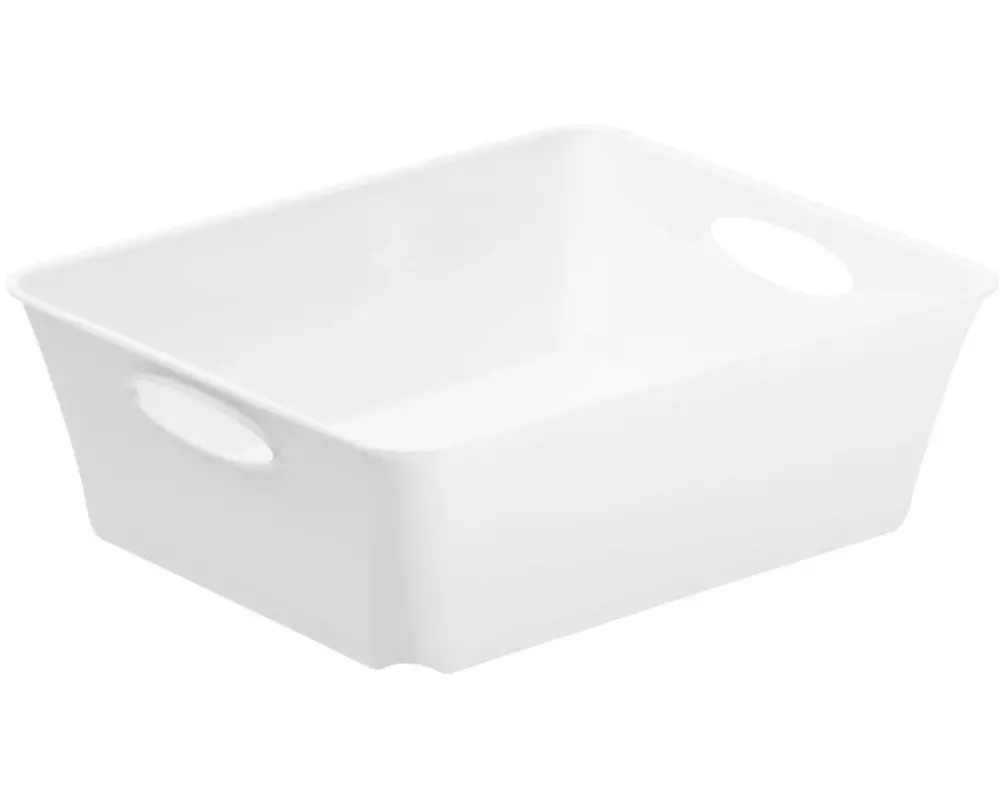 Rotho Aufbewahrungsbox Living Box C6 / 1 Liter Weiss