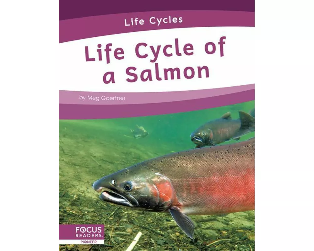 Life Cycle of a Salmon