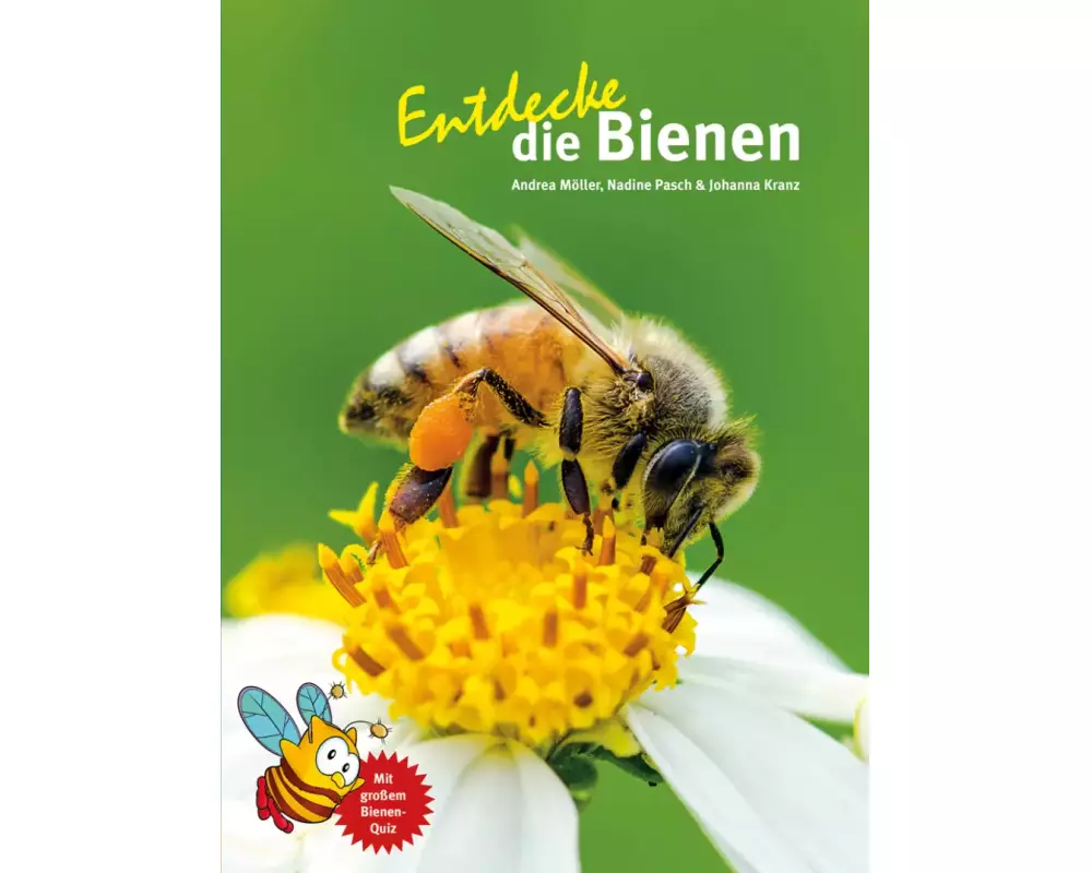 Entdecke die Bienen