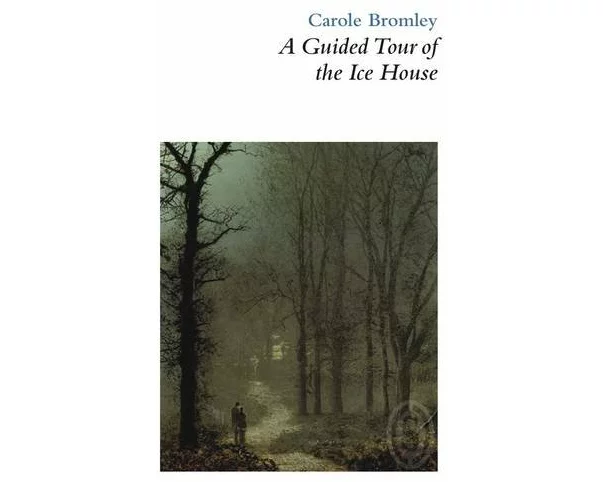 A Guided Tour of the Ice House