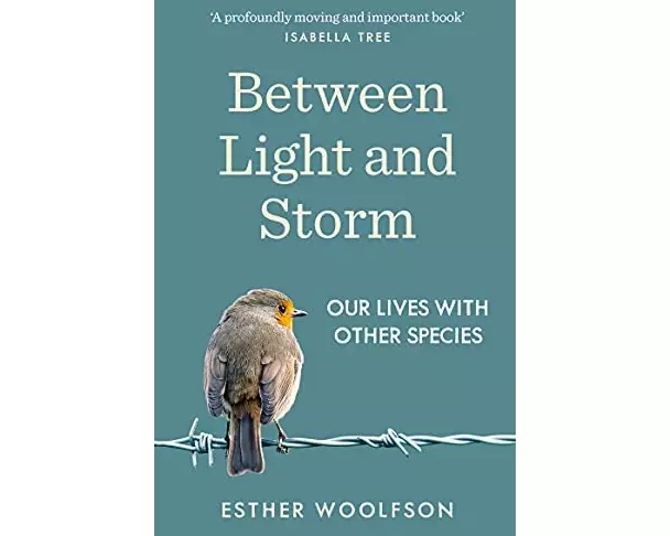 Between Light and Storm