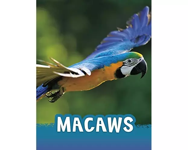 Macaws