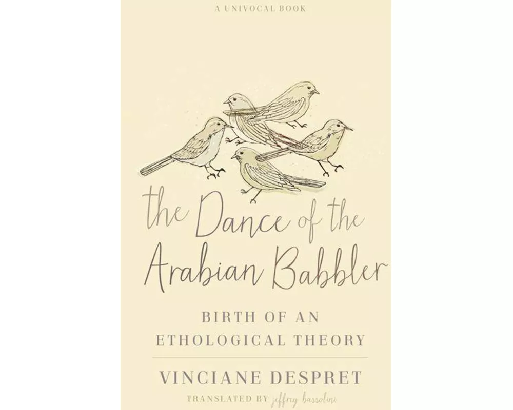 The Dance of the Arabian Babbler