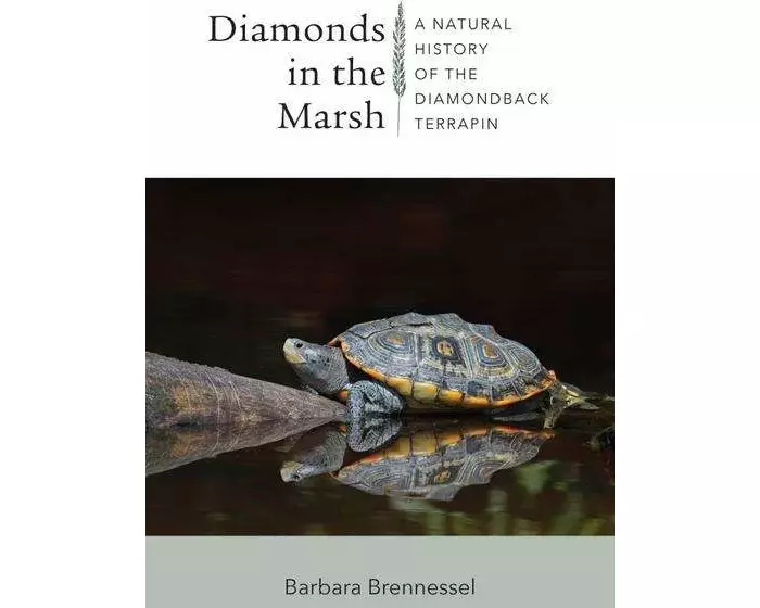 Diamonds in the Marsh - A Natural History of the Diamondback Terrapin