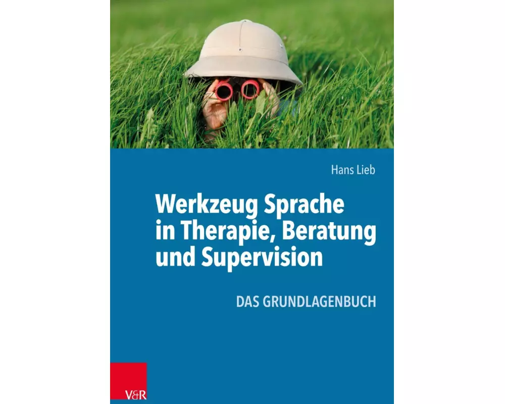 Werkzeug Sprache in Therapie, Beratung und Supervision