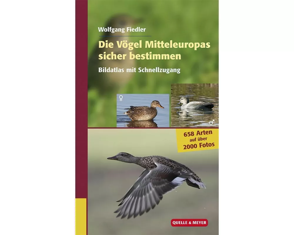 Die Vögel Mitteleuropas sicher bestimmen. Band 2