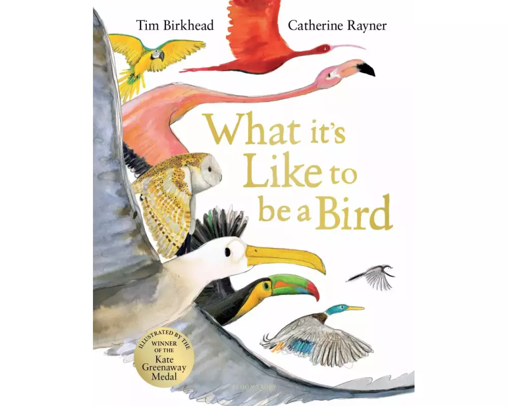 What it's Like to be a Bird