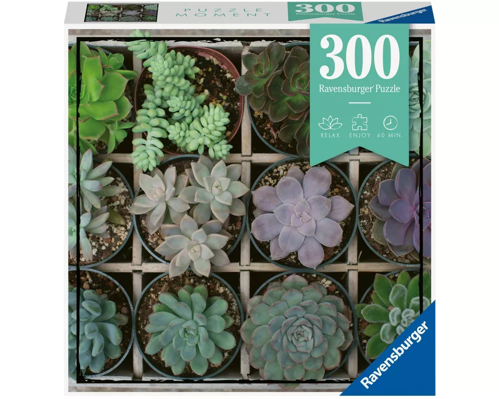 Erwachsenenpuzzle 300 Teile - Green