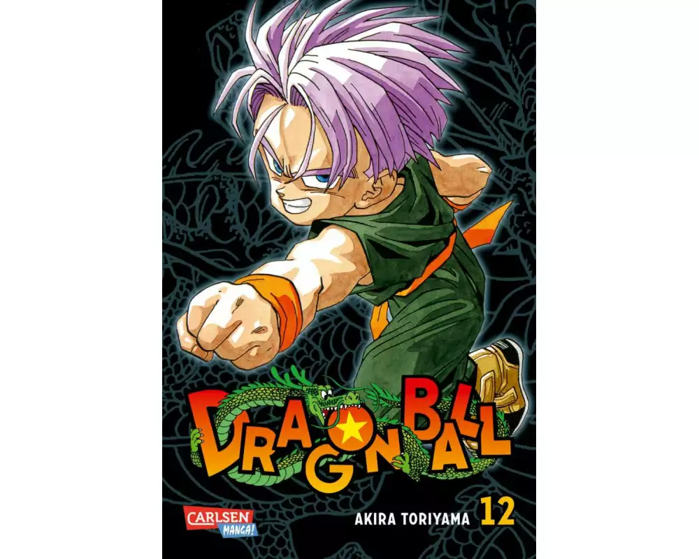Dragon Ball Massiv 12