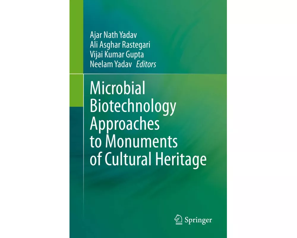 Microbial Biotechnology Approaches to Monuments of Cultural Heritage