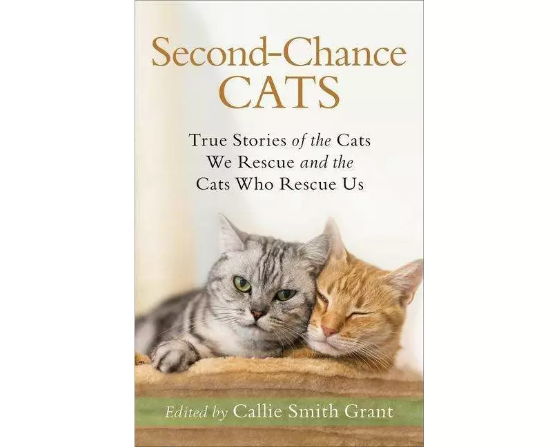 Second-Chance Cats