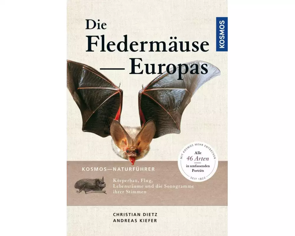 Naturführer Fledermäuse Europas