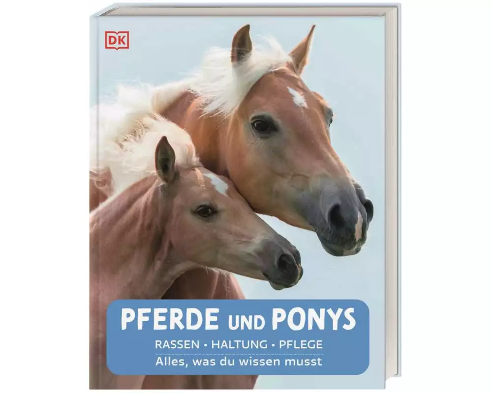 Pferde und Ponys