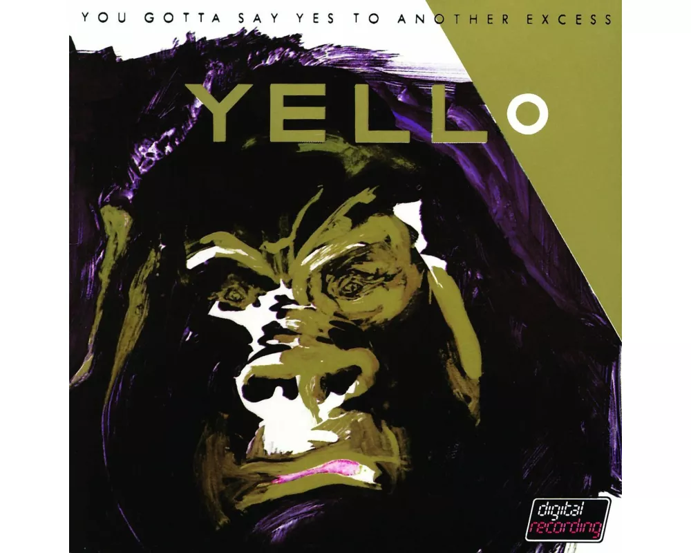 You Gotta Say Yes To Another Excess (2005)