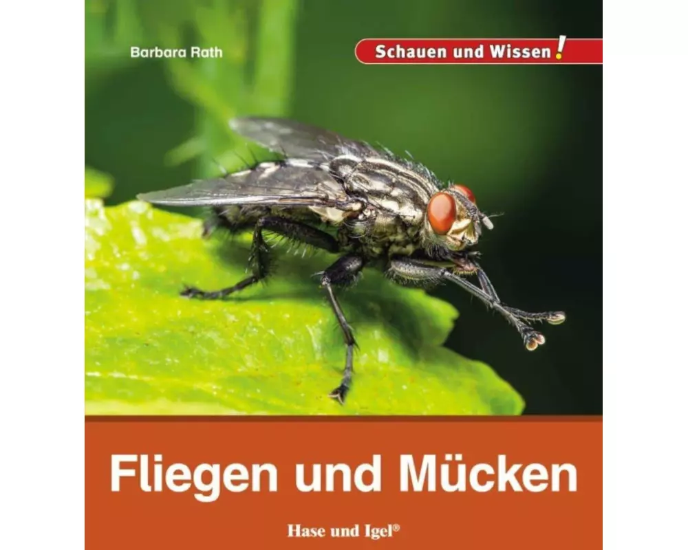 Fliegen und Mücken