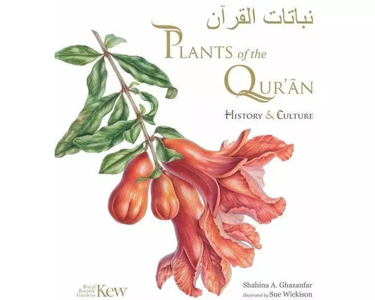 Plants of the Quran