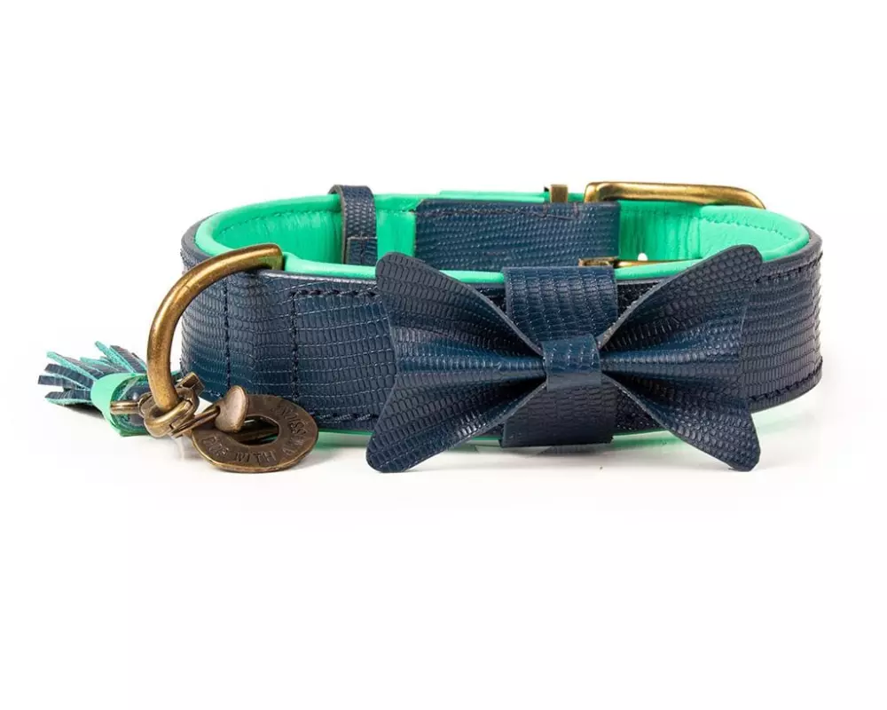 Dog with a mission Halsband Buster, XXL, 4 cm