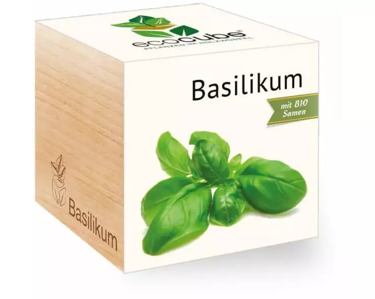 Feel Green Ecocube Basilikum BIO
