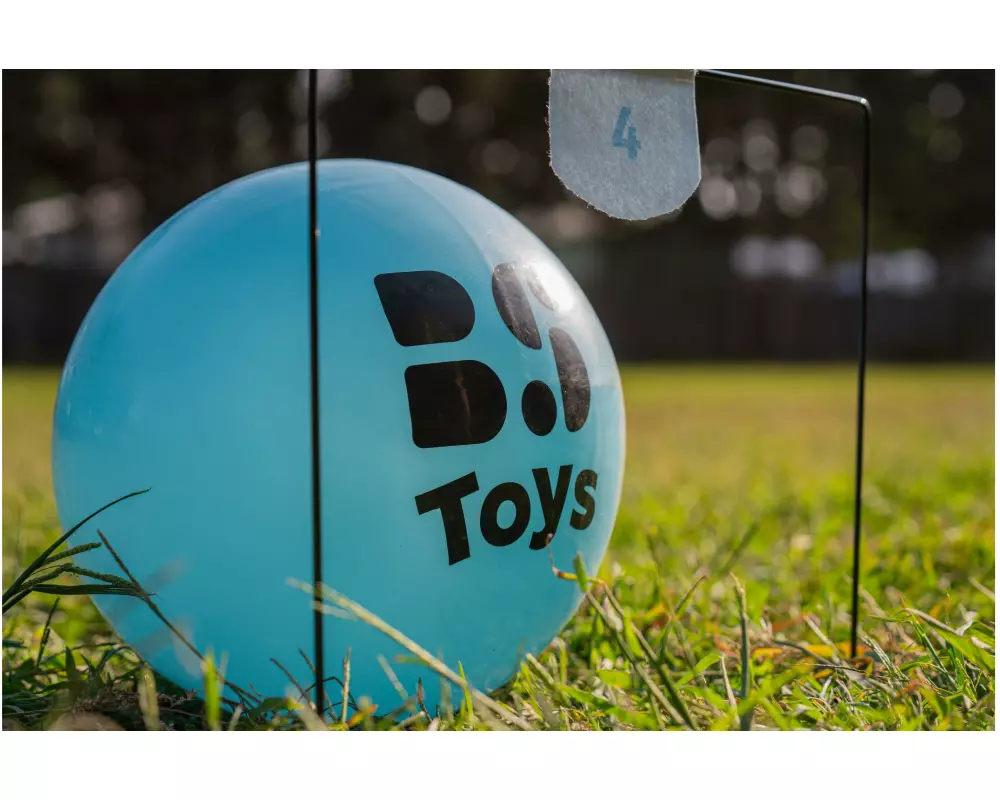 BS Toys Voetbal Croquet Filz Metall Gummi