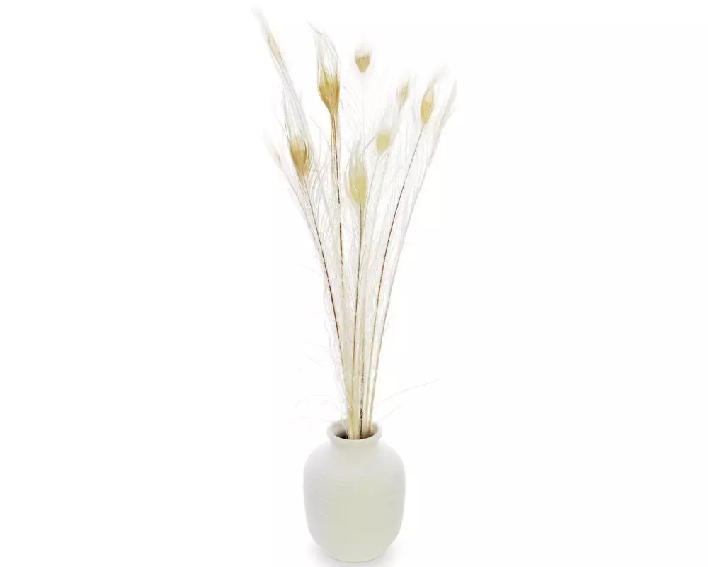 Soli Collection Pfaufedern 90 cm, Weiss