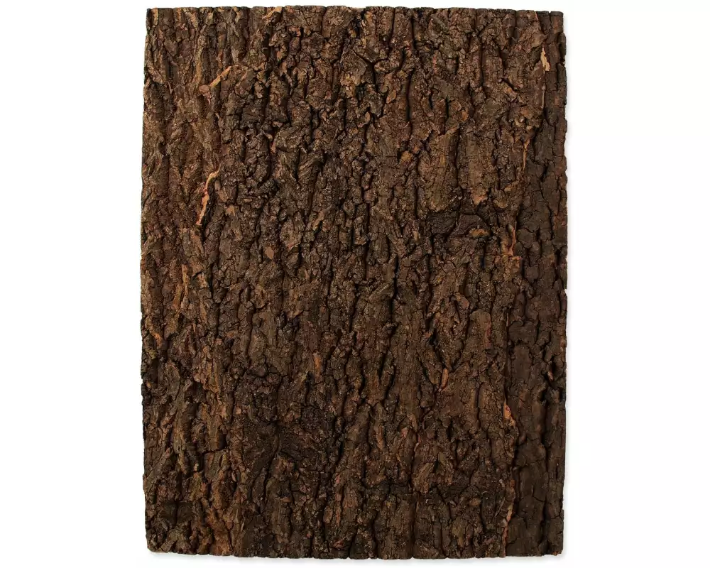 Repti Planet Kork-Rück Wand 43.5 x 56 x 2 cm