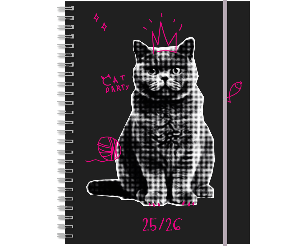 SIMPLEX Schüleragenda Touch 25/26 500431.26 1W/2S 17M Cat ML 12x16.5cm