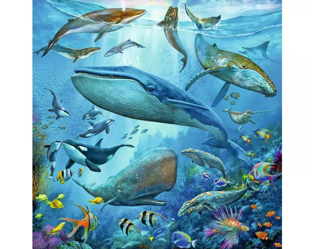Ravensburger Puzzle Tierwelt des Ozeans 3 x 49 Teile