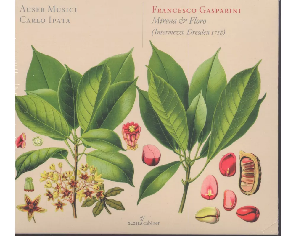 Gasparini/Mirena & Floro