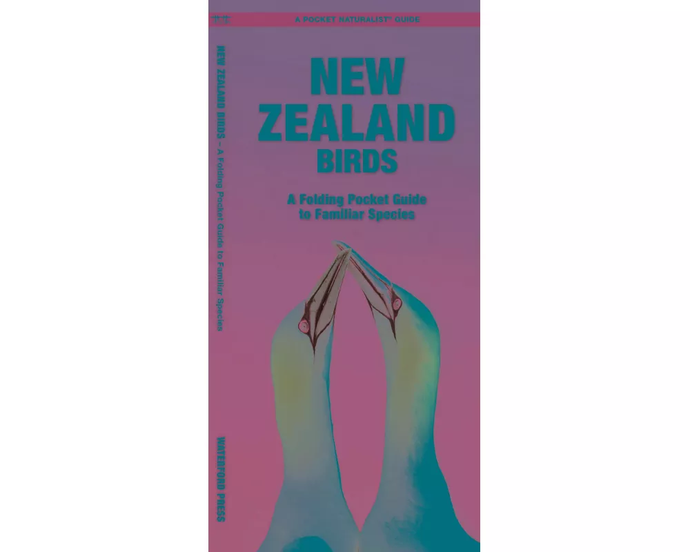New Zealand Birds