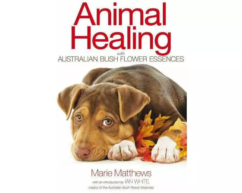 Animal Healing with Australian Bush Flower Essences