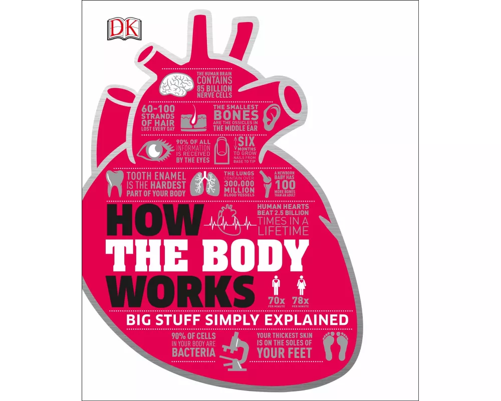 How the Body Works