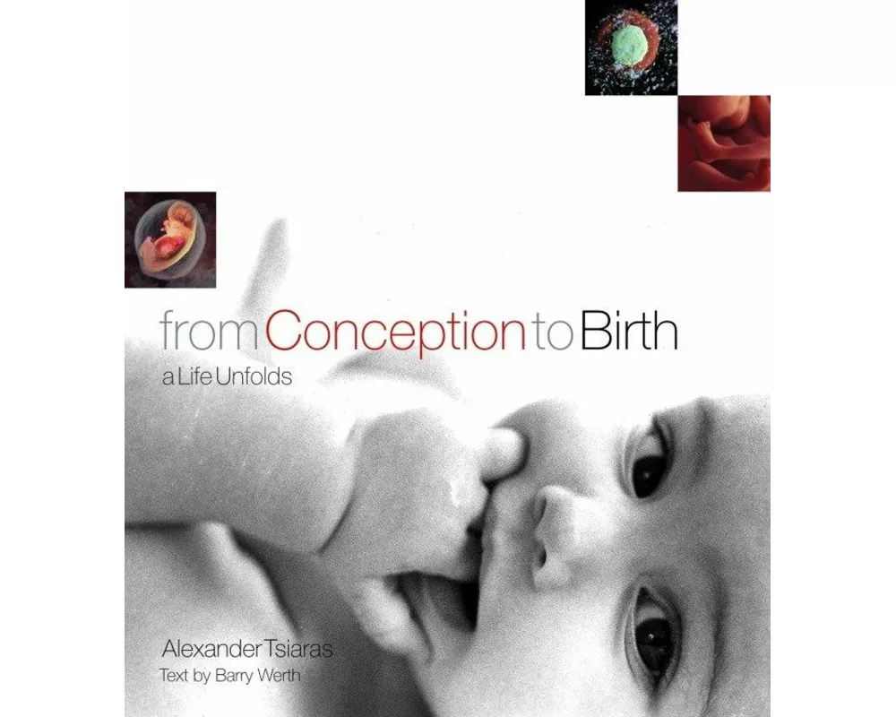 From Conception to Birth