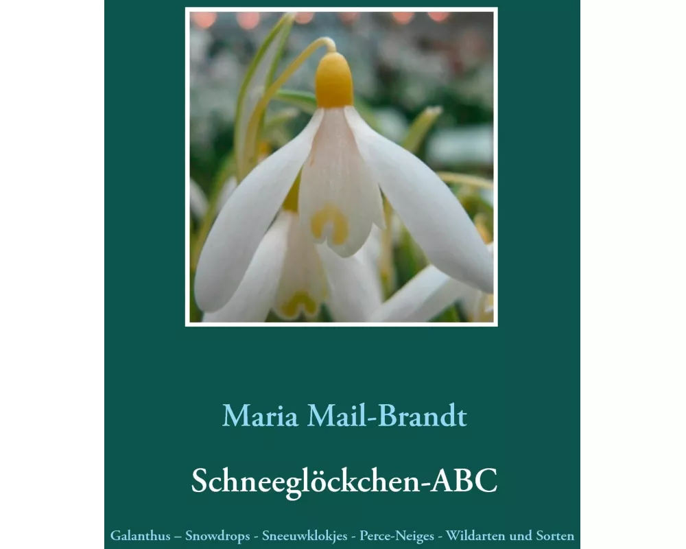 Schneeglöckchen-ABC