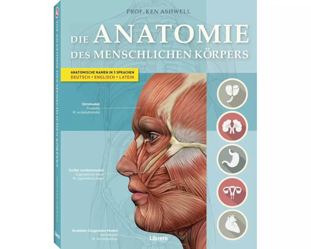 Der Menschliche Körper