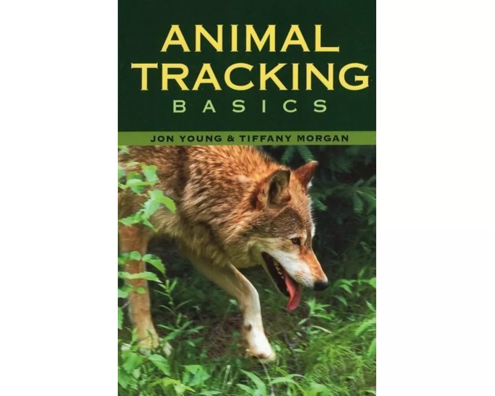 Animal Tracking Basics