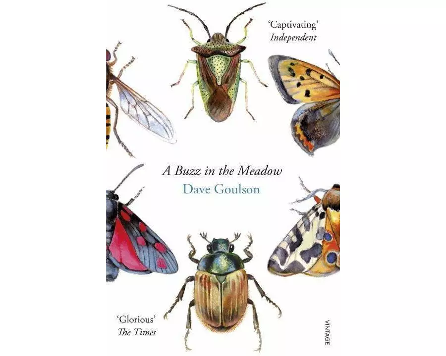 A Buzz in the Meadow