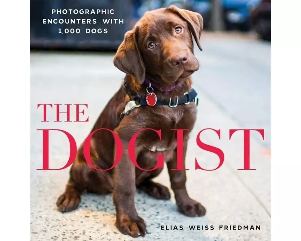 The Dogist