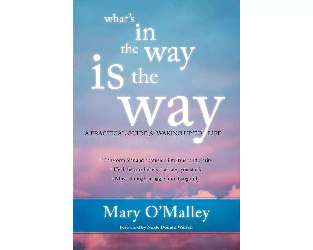 What's in the Way Is the Way