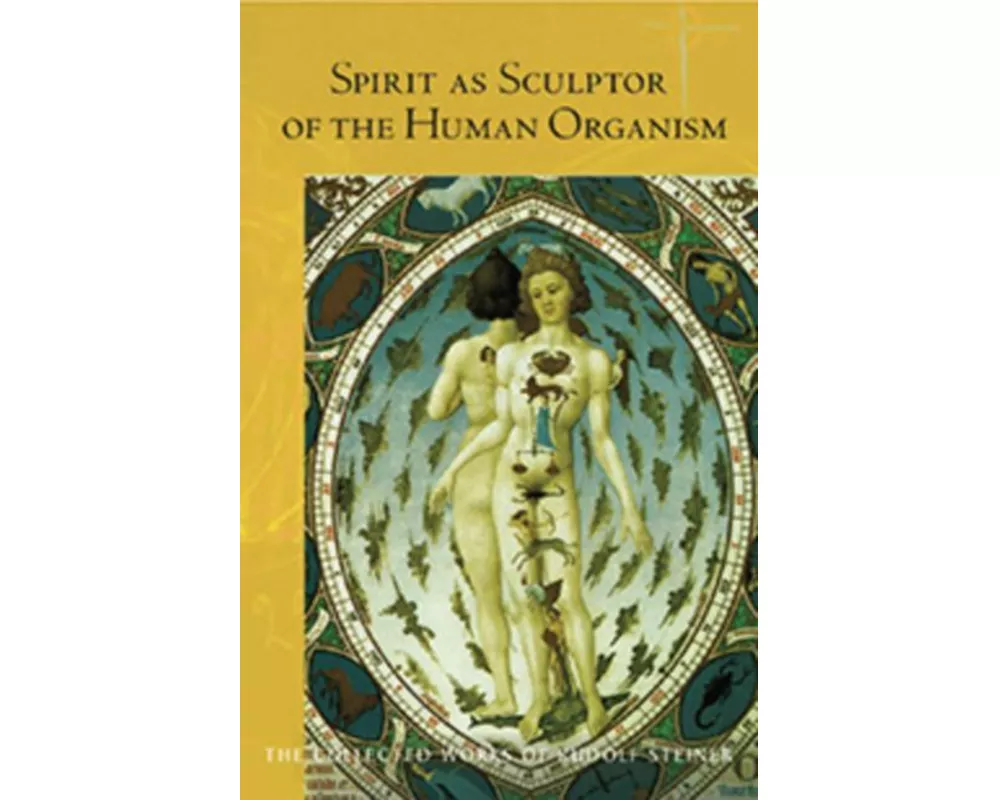 Spirit as Sculptor of the Human Organism