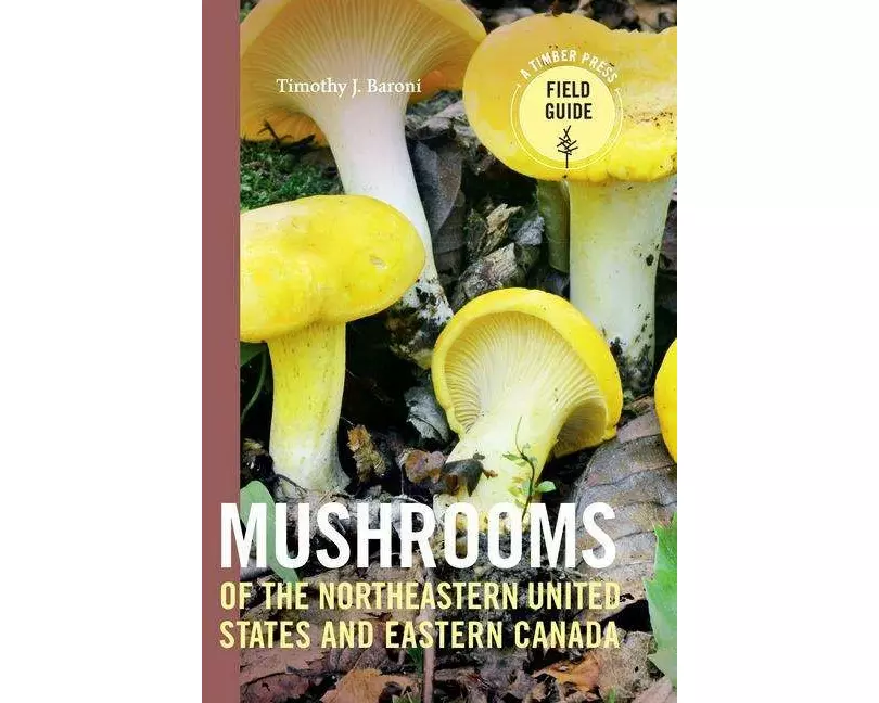 Mushrooms of the Northeastern United States and Eastern Canada