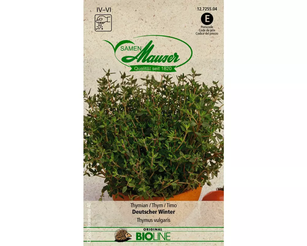 Samen Mauser Samen BIO Thymian Deutscher Winter