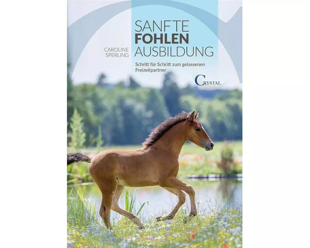 Sanfte Fohlenerziehung