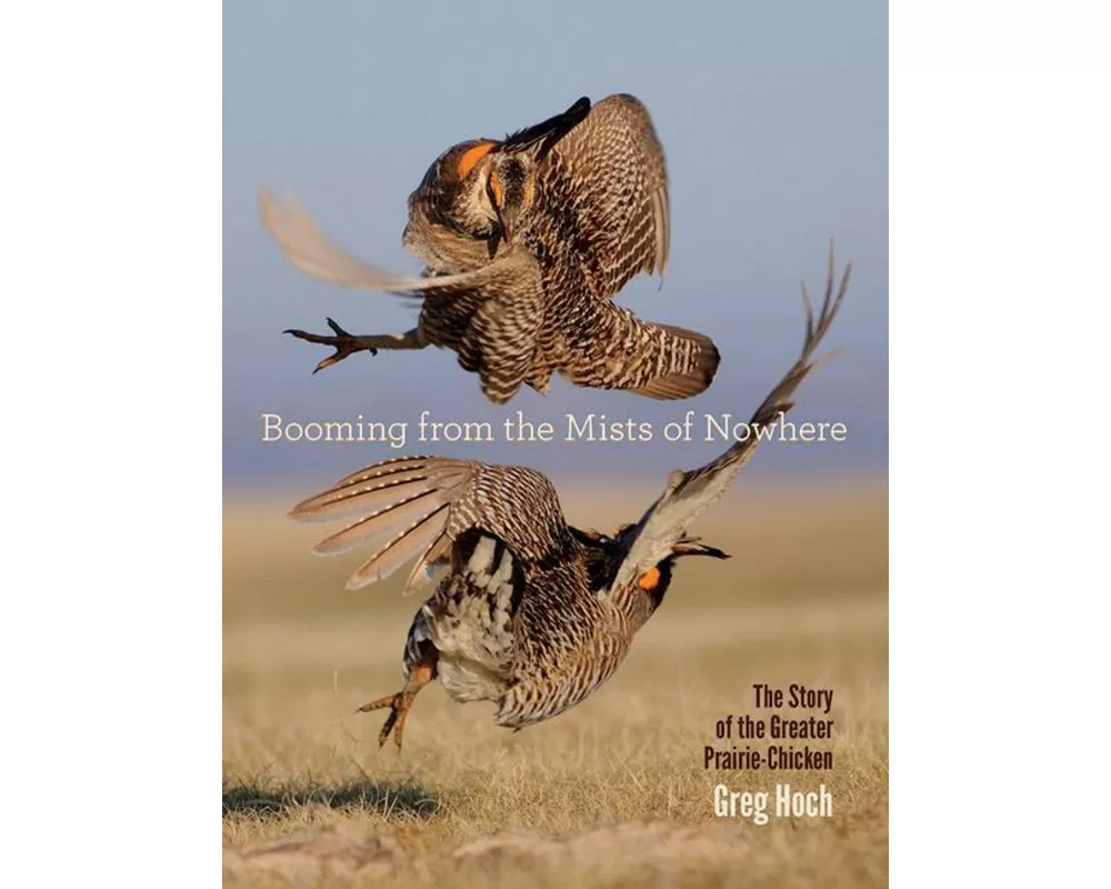 Booming from the Mists of Nowhere: The Story of the Greater Prairie-Chicken