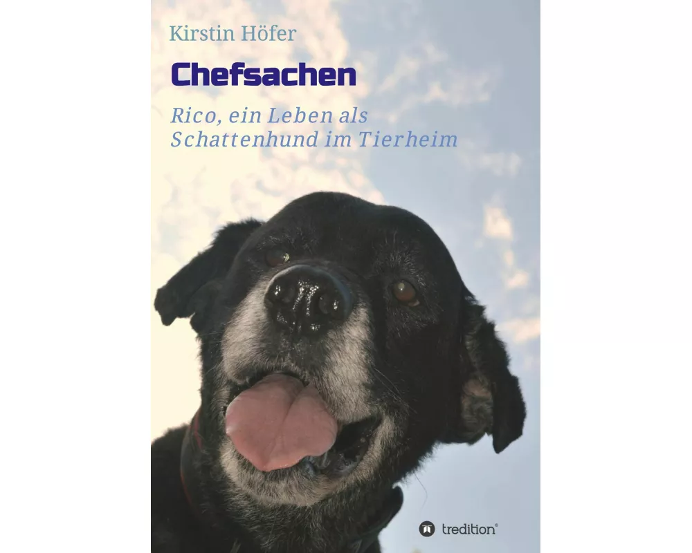 Chefsachen