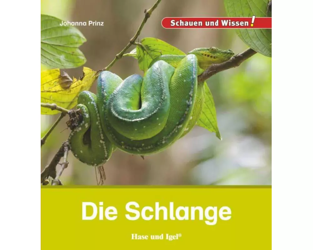 Die Schlange