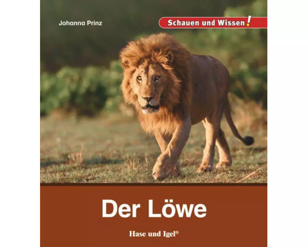 Der Löwe