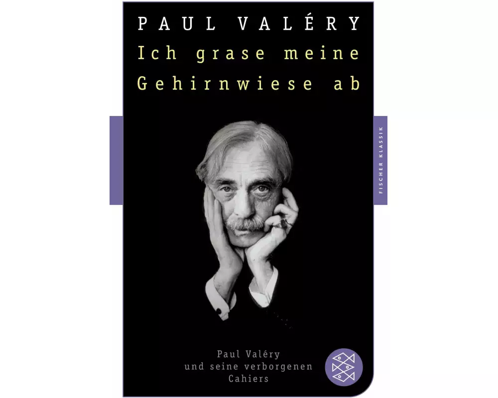 Ich grase meine Gehirnwiese ab