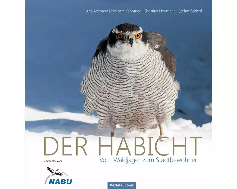 Der Habicht