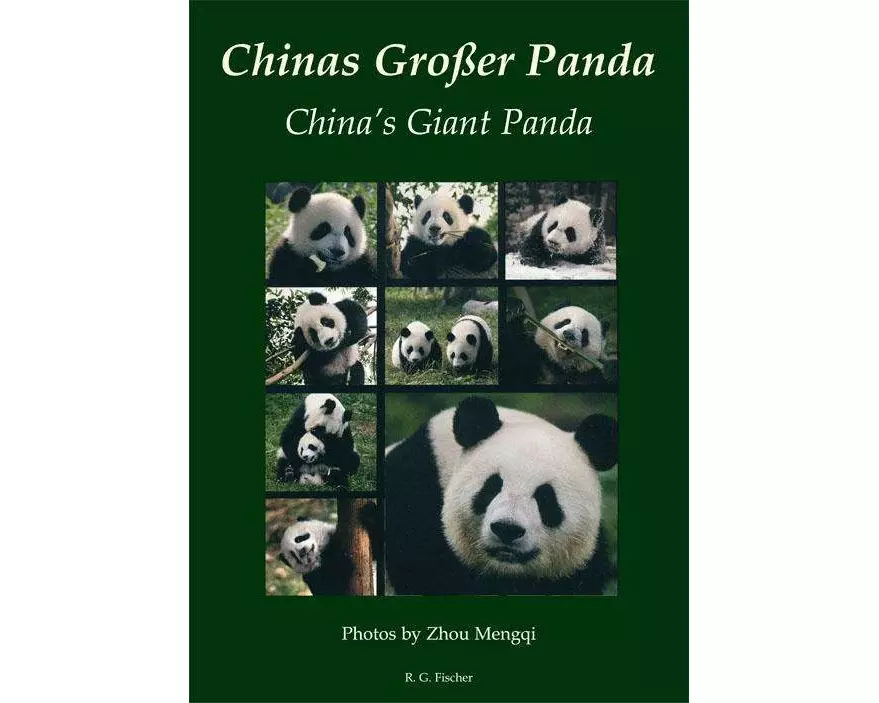 Chinas Großer Panda. China's Giant Panda